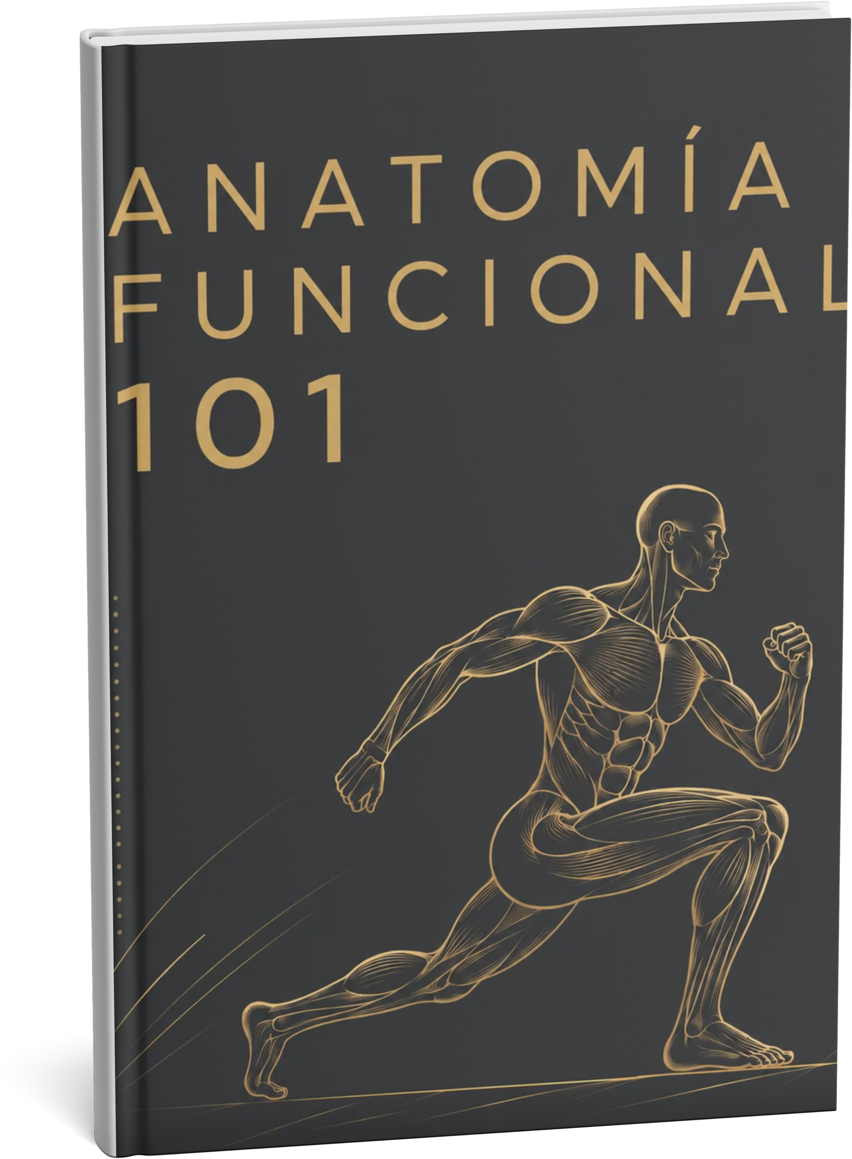 Anatomía Funcional 101