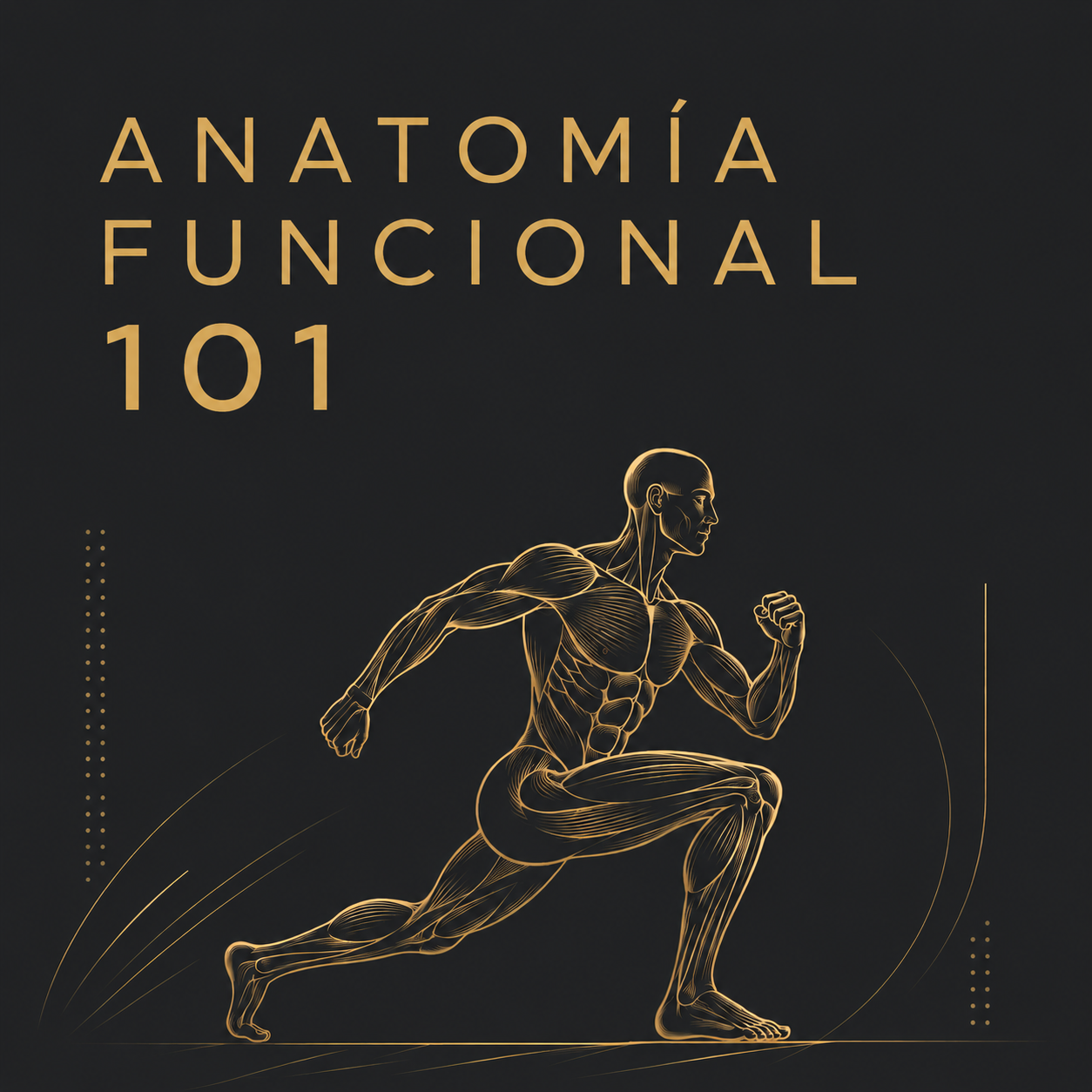 Anatomía Funcional 101